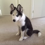 Corey Guillory - @coreyguillory1 - Instagram