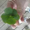 Cory Gunter - @cory.gunter5 - TikTok