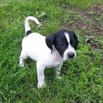 Corey Haase - @mnydad123 - Instagram