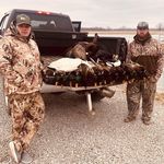 Corey Hagan - @corey.hagan.50 - Instagram