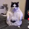 Corey Hammock - @coreyhammock168 - TikTok