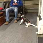 Corey Handley - @coreyh79 - Instagram