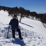 Corey Harding - @corey.harding - Instagram