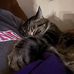 Corey Harding - Facebook