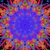 Corey Harrell - @corey.harrell4 - TikTok