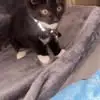Corey Harrington - @corey.harrington3 - TikTok