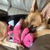 Corey Harvey - Facebook