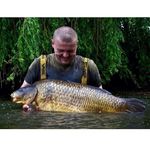 Corey Hassell - @coreyhassell1 - Instagram