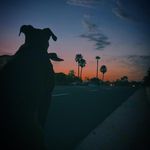 Cory Hayward - @humbleiephotographer - Instagram