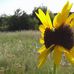 Corey Herndon - Facebook