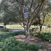 Corey Lavon Heyward - @jugo1843 - TikTok