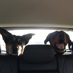 Corey Hickman - @chickma22 - Instagram