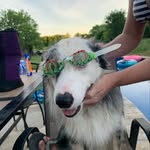 Corey Hooks - @chooks74 - Instagram