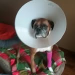 Corey Howe - @coreyhowe11 - Instagram