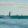 corey - @tin.man.corey - TikTok