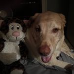 Corey Jamison - @corey.jamison.5 - Instagram