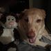 Corey Jamison - Facebook