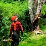 Corey Jarvis - @carnivorepath - Instagram