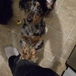 Corey Jeffery - @jeffecor24 - Instagram
