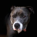 Corey Kendrick - @corey.kendrick.35 - Instagram