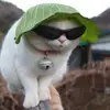 coreykirchner - @coreykirchner - TikTok