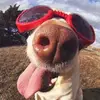 Corey - @corey_kirk - TikTok