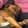 Corey.k - @corey.k712 - TikTok