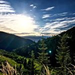 Corey Lehman - @lehmancorey - Instagram