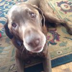 Corey - @corey_lockwood11 - Instagram