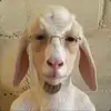 Corey - @coreylockwood11 - TikTok