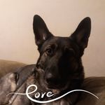 Cory Lockwood - @coryoke1 - Instagram