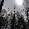 Corey Long - @corey.long088 - TikTok