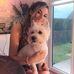 Corey MacDonald - Facebook