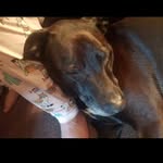 Corey Cody Masterson - @corey0176 - Instagram