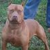 Corey Masterson - Facebook