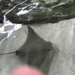 Corey Mathews - @coreymathews98 - Instagram