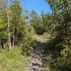 Corey McAllister - @corey.mcallister59 - TikTok