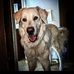 Corey Mcculloch - Facebook
