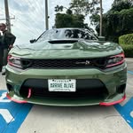 Corey Melanson - @corey.melanson_florida_man - Instagram