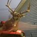 Corey Melanson - Facebook