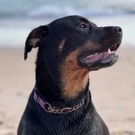 Corey Mellon - @_coreymellon_ - Instagram