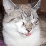 Corey Merrell - @the_merrell_way - Instagram