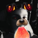 Cory Metz - @cory.metz - Instagram
