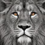 Corey Middlebrooks Sr - @corey_mb1 - Instagram
