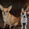 Corey Migdal - @31035714756 - TikTok