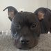 Corey Mock - Facebook