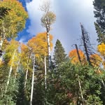 Corey Moeller - @moellercorey - Instagram