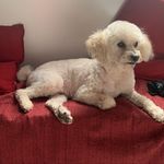 Cory Molina Padilla - @cory.molina - Instagram