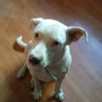 Corey Morales - @coreymorales1 - Instagram