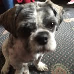 Corey Morgan - @coreymorgan730 - Instagram